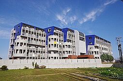 ニューガイア上石田 208