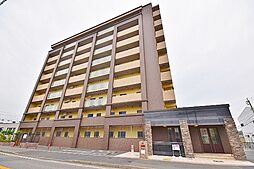 EVER GREEN O（エヴァーグリーンO） 807