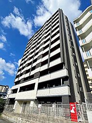 ウィークスステラ 806