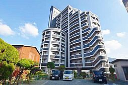 ロイヤルマキシム 608