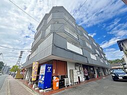 サンクチュアリ 405