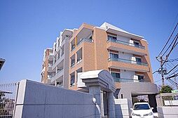 グランドコート時悠館 203