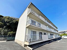 メゾン上田 203