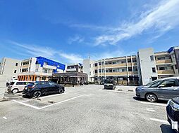 ニューガイア高野 311
