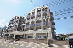 グラシューズエール 202