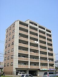 ウエルス守恒 503