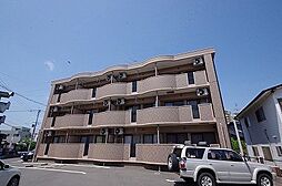 フィーナス熊本 203