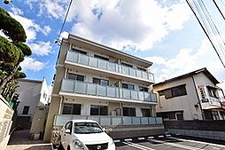 ステラZEN（ステラゼン） 102