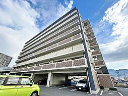 エヴァーグリーンN 310