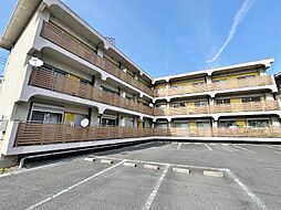 レディースマンションなでしこ 205
