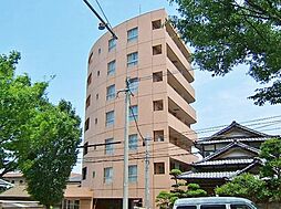 YANAGISIGHT（ヤナギサイト） 302