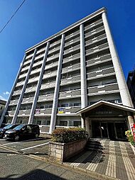 ロイヤルビップ 805