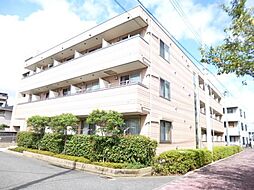 Cherry House V