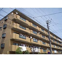 ライブオン和田