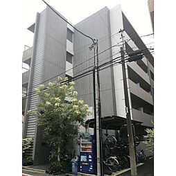 ERIGER　T　tomigaya