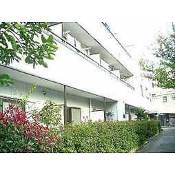 ベルフォーレ・K3