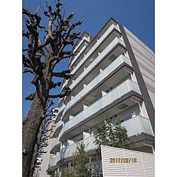 HY’s Salire 用賀
