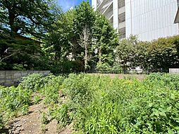 品川区荏原2丁目　土地