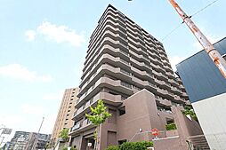パインフィールド緑地公園 902