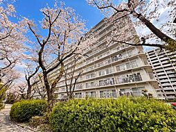 東大島ハイライズ 101