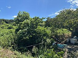 上荘町薬栗　農地　売土地