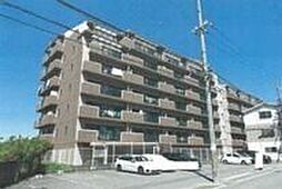 サクラメント東加古川