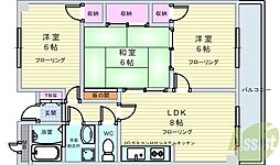 フローレンスＳ．Ｙ 301