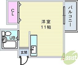 レオパードウエハラ 307