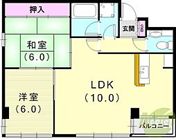 キャメルコート