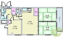 曽根ファイブ