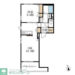 Ｓｃｏｌｅｃｉｔｅ