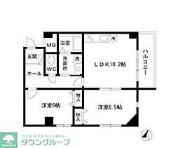 ウィル猫洞