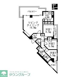 Ns21やごと