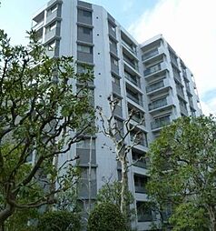 デュオ・スカーラ大島