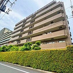ハイネス新小岩親水公園