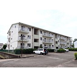 竜ヶ崎ハイツ B 203号室