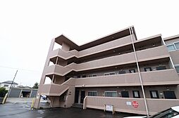 ピュアリティ柏 105