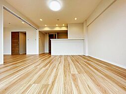 国分寺ビューハイツ