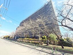 蓮根ファミールハイツ1号棟