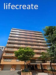 ライオンズマンション第七大通 501