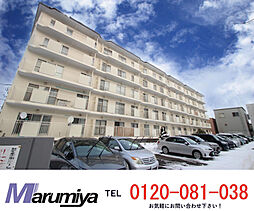 二十四軒ハイツB棟 403