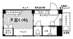 コートマゼラン