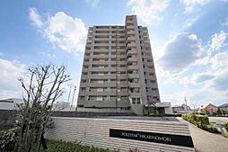 ポレスター光の森