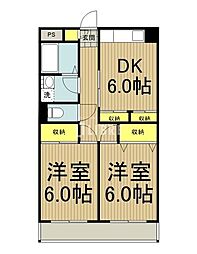 アムールオオカサ