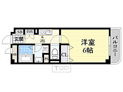 シンココスモス