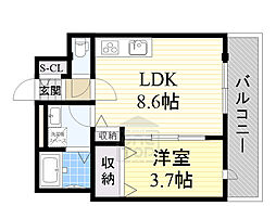 ブランシェトワ