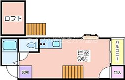 ファニーハースト