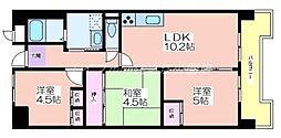 サニーコットン住之江 303