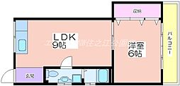グランドキャパ杉本