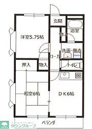 ライトオブハシモト 201